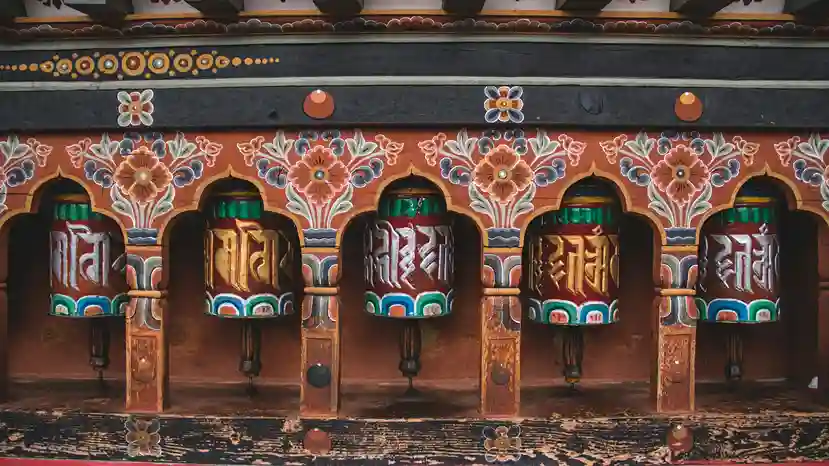 Main Image